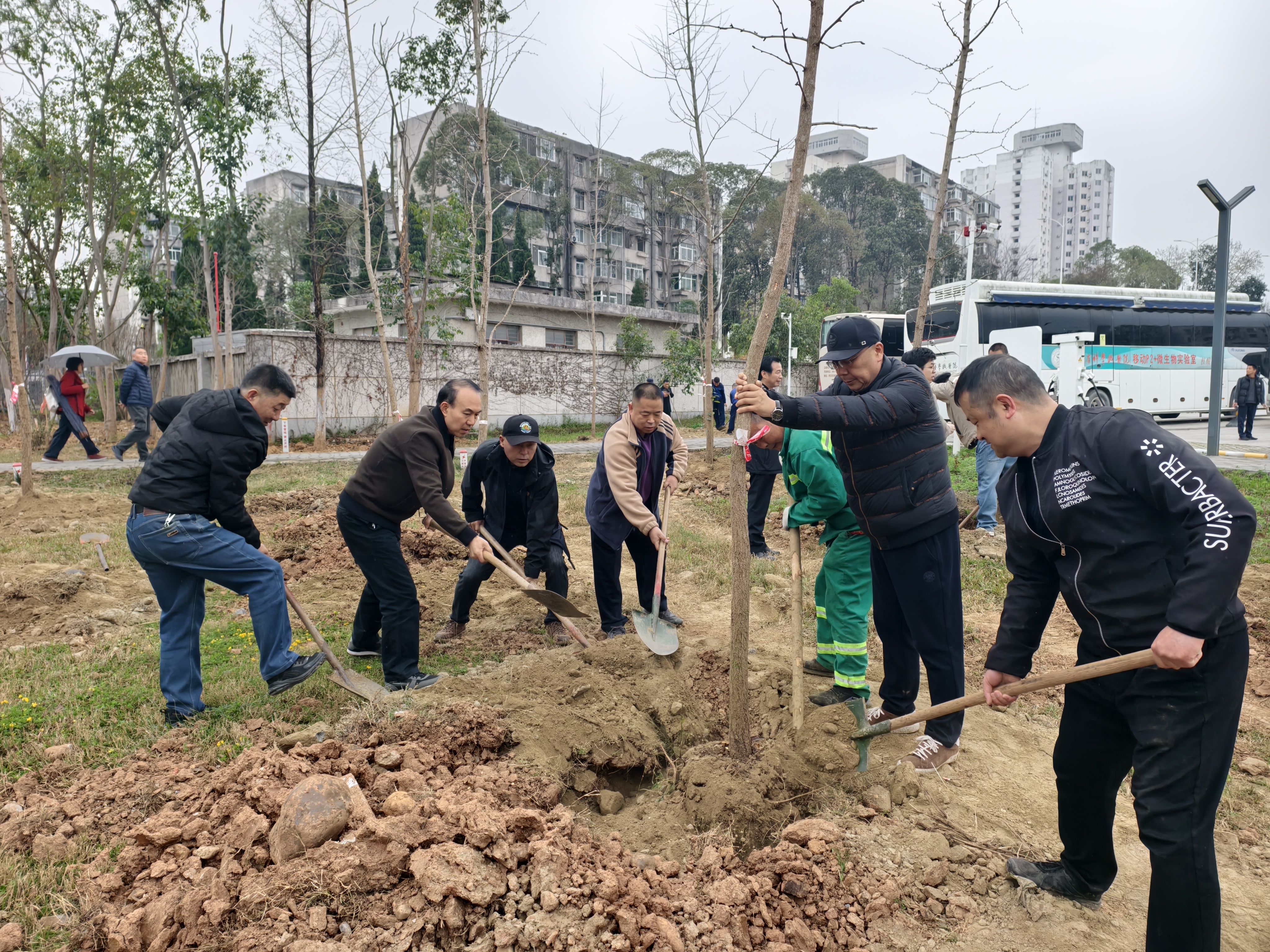 雨润新绿 共筑家园(图3) 3.jpg