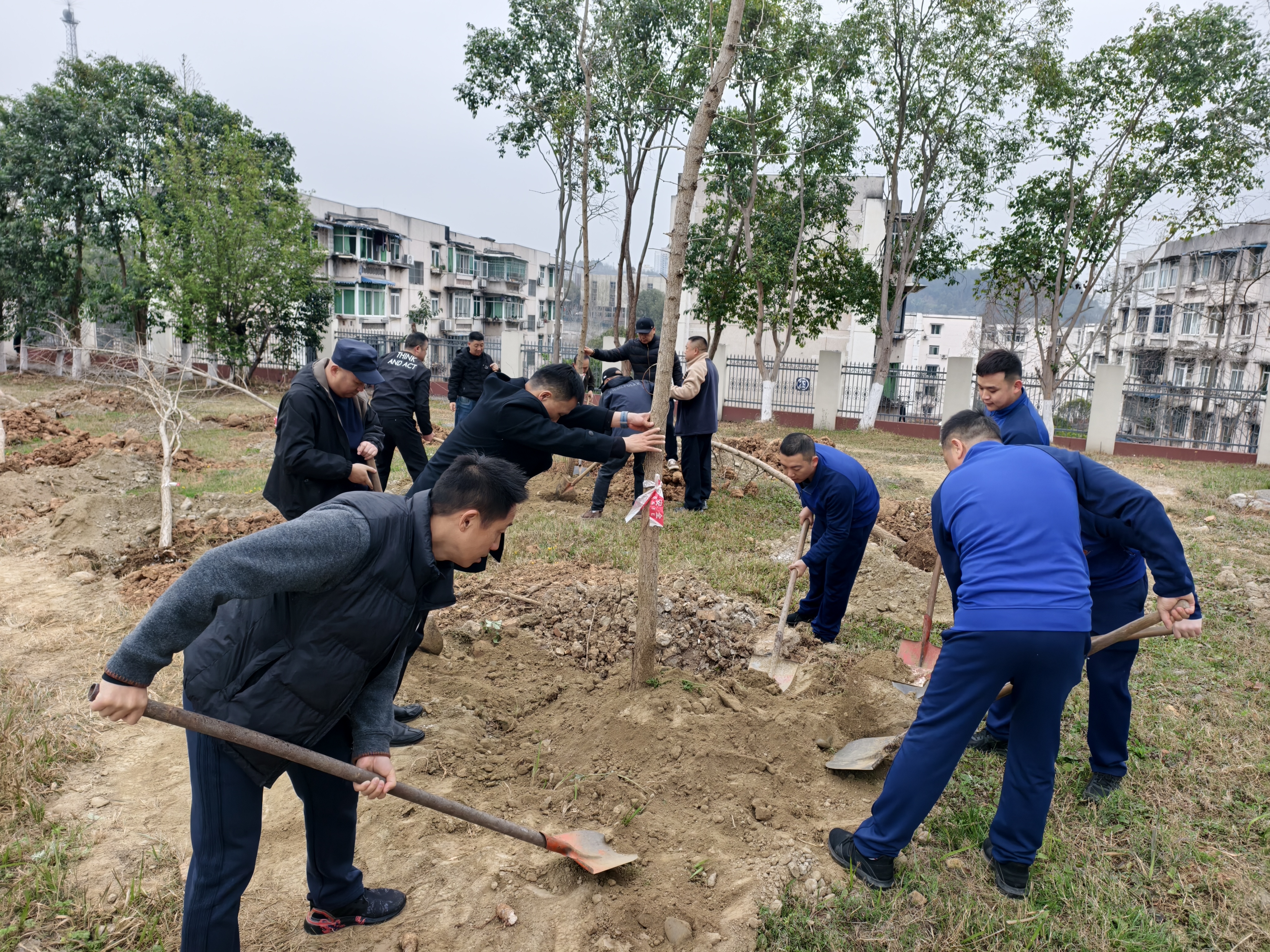 雨润新绿 共筑家园(图4) 4.jpg