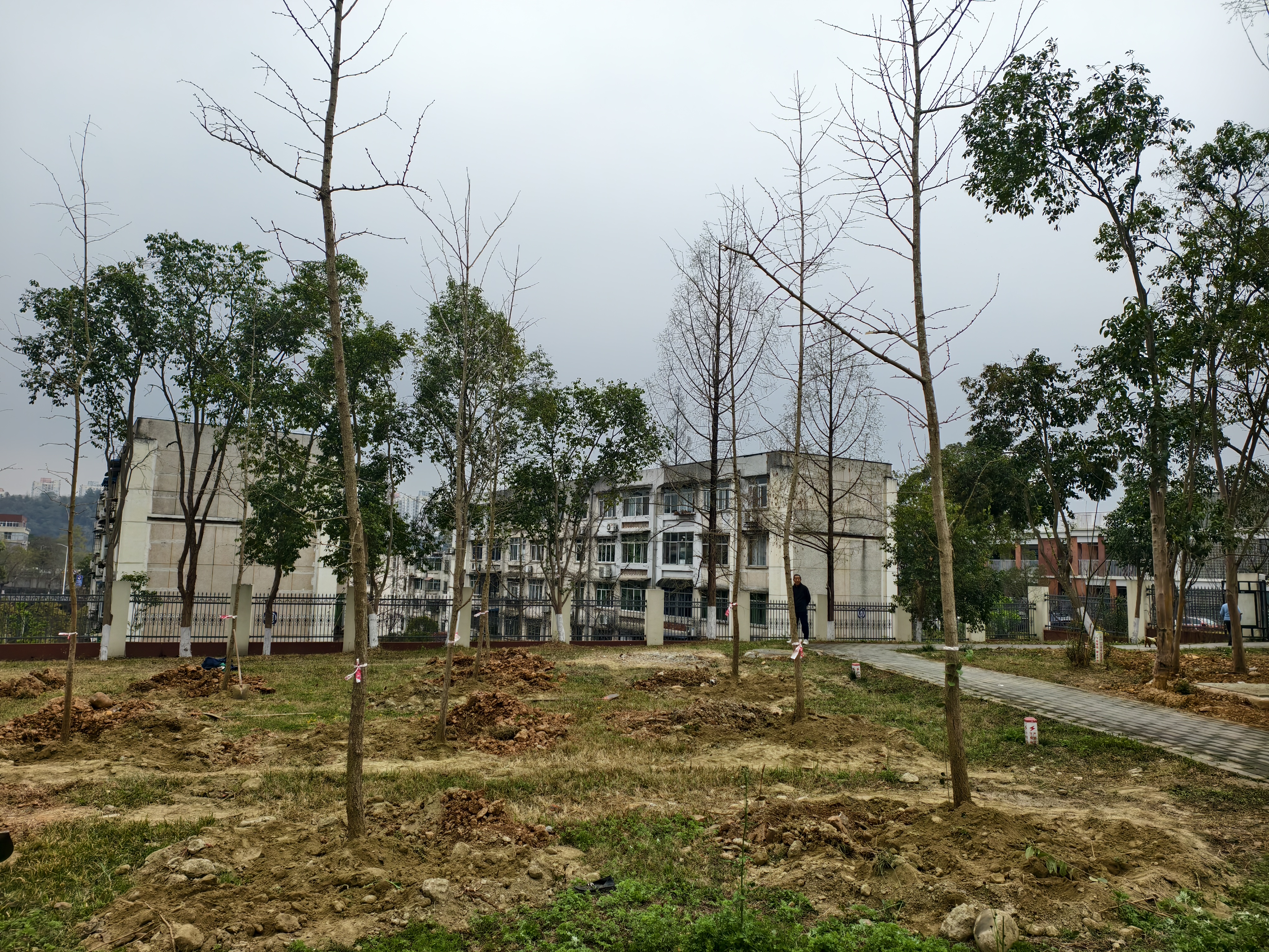 雨润新绿 共筑家园(图6) 6.jpg